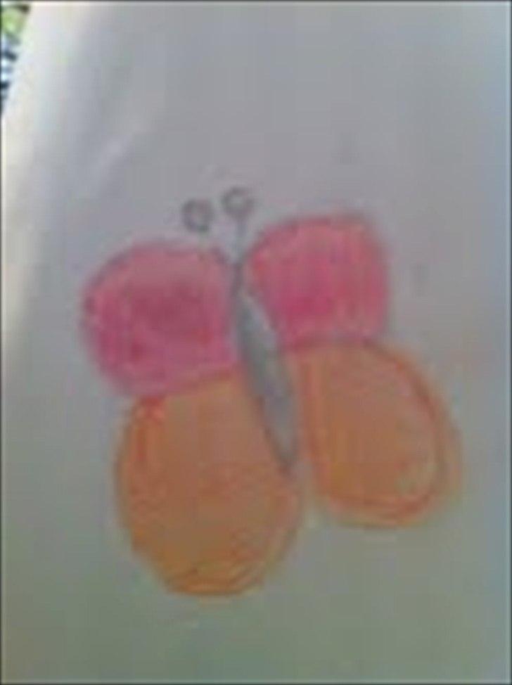 Mine tegninger - halv færdig sommerfugl:-) billede 1