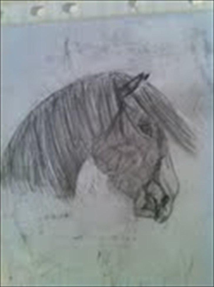 Mine tegninger - en af mine flotteste tegninger:-) billede 5