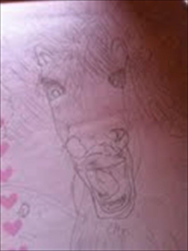 Mine tegninger - gammel hest billede 7