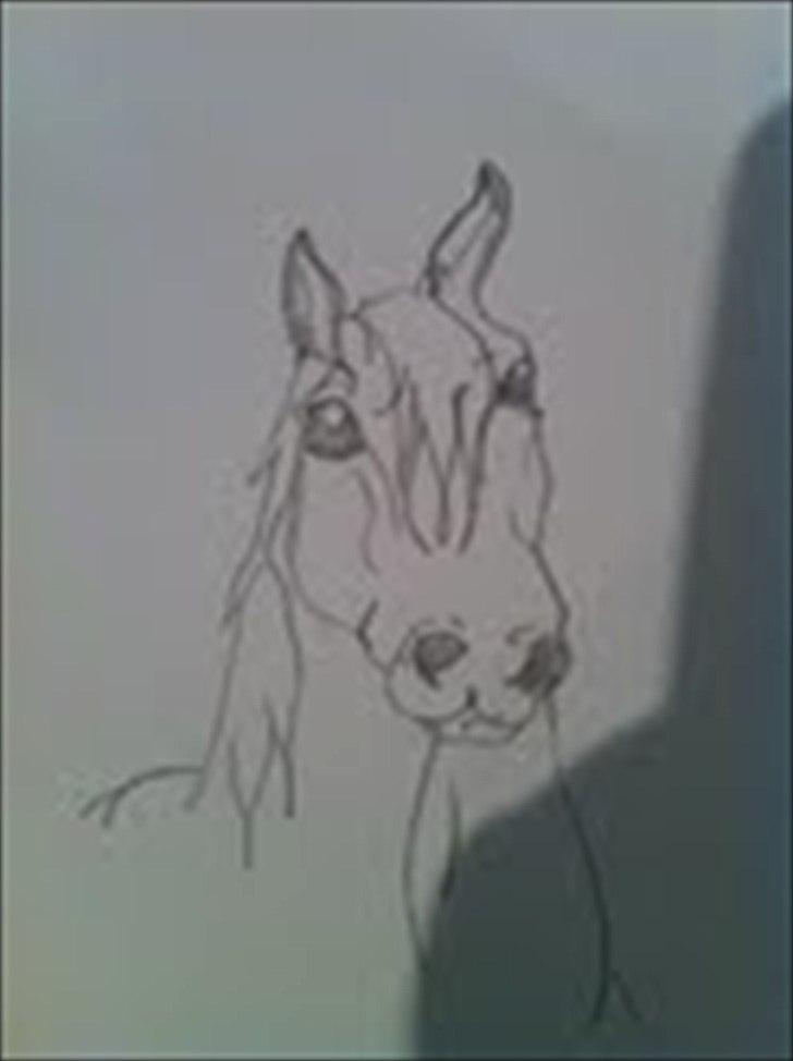 Mine tegninger - spirit billede 8