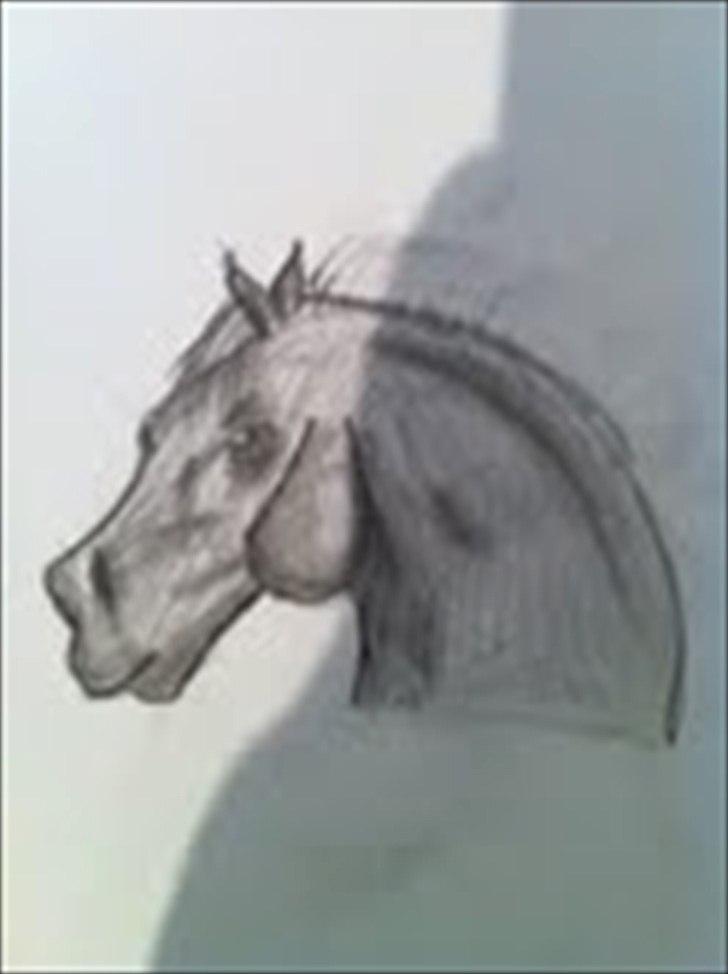 Mine tegninger - hest billede 11