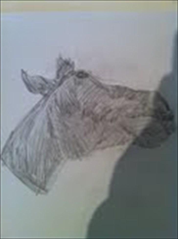 Mine tegninger - tegnet efter noget:-) billede 12