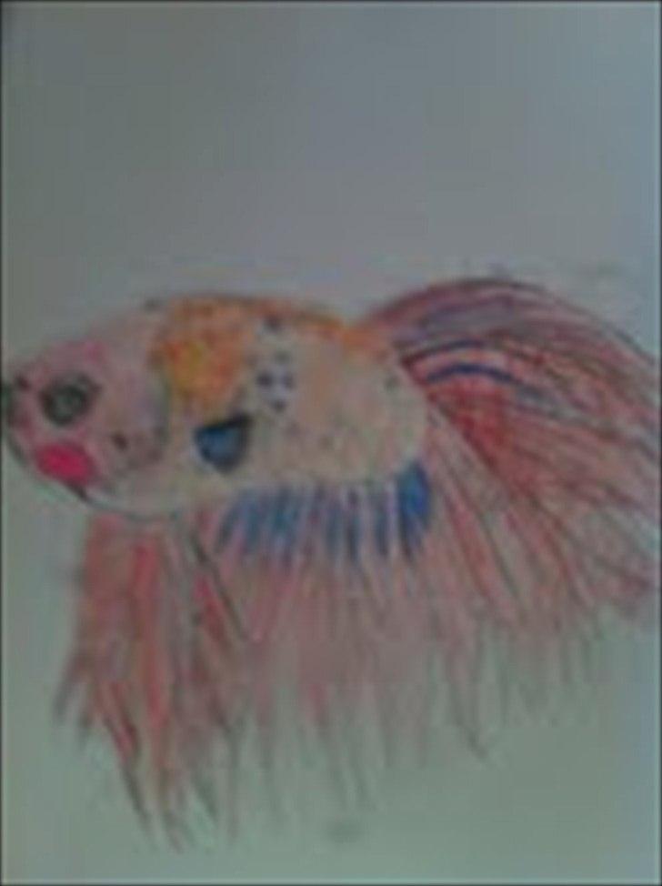 Mine tegninger - første tegning med farve billede 13