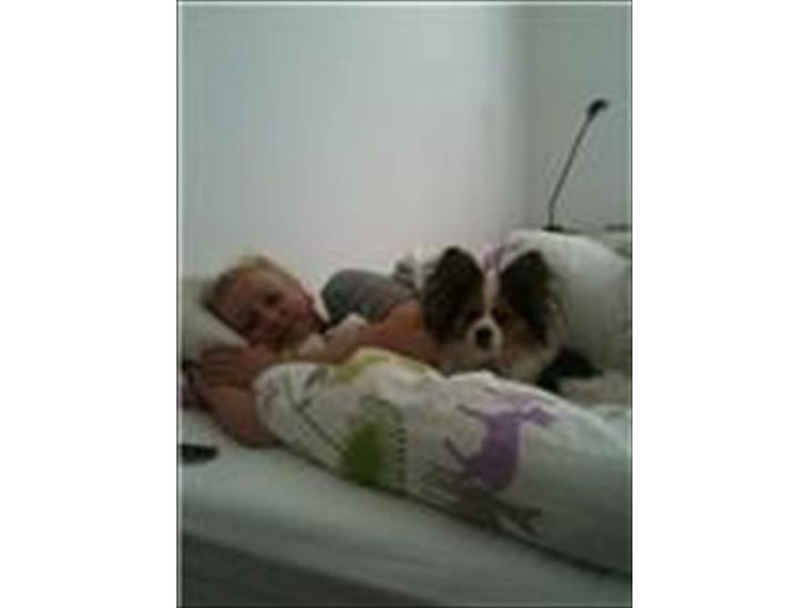 {{currentPhoto.altText}} billede {{currentPhoto.number}}