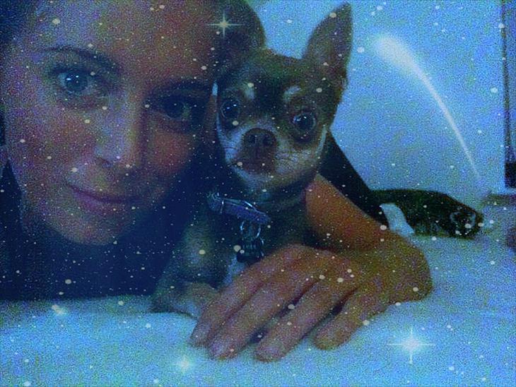 {{currentPhoto.altText}} billede {{currentPhoto.number}}