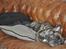 Hygge - 