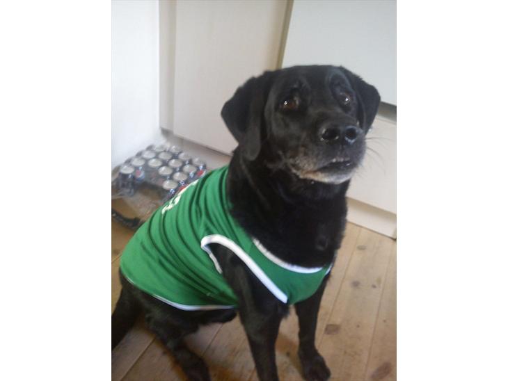 {{currentPhoto.altText}} billede {{currentPhoto.number}}