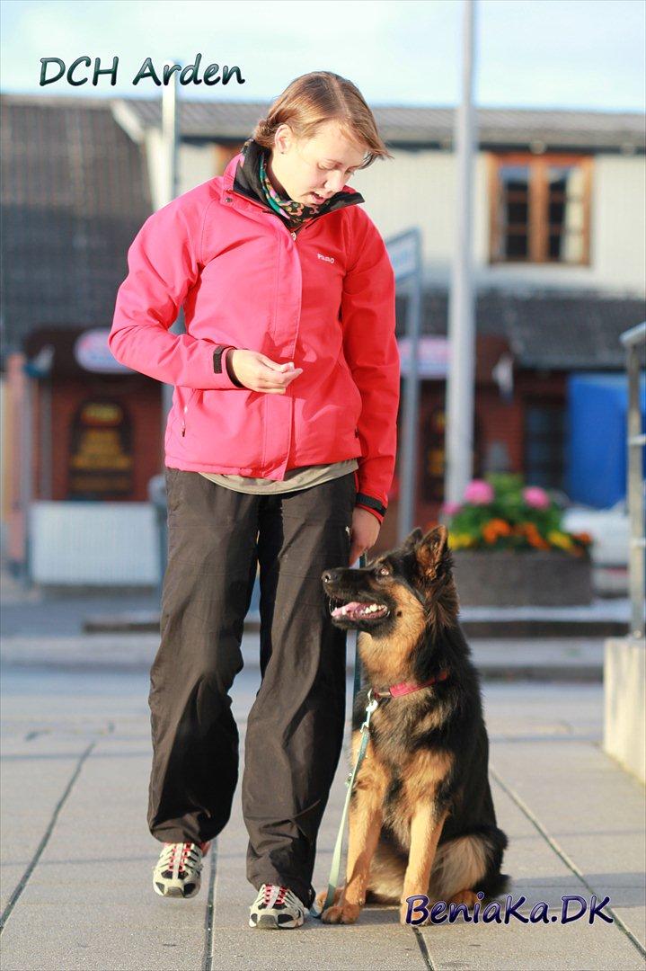DCH Arden billede 8