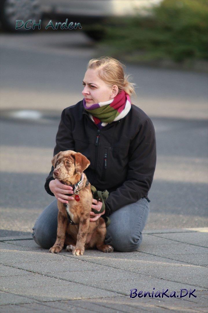 DCH Arden billede 9