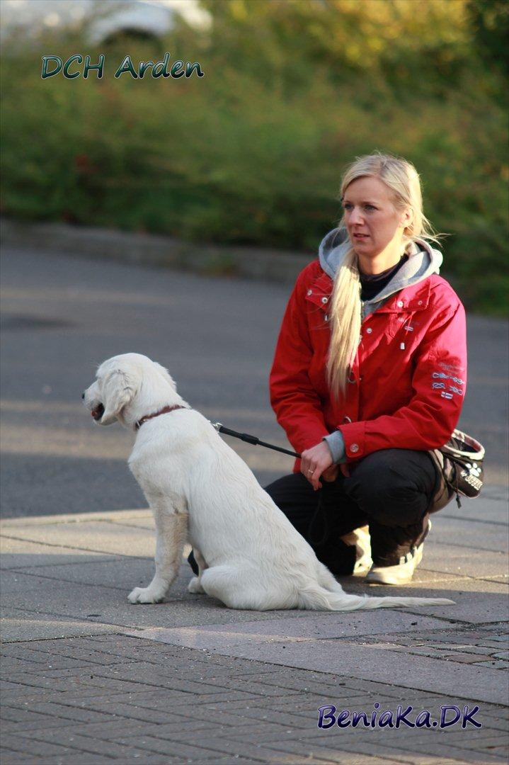 DCH Arden billede 10