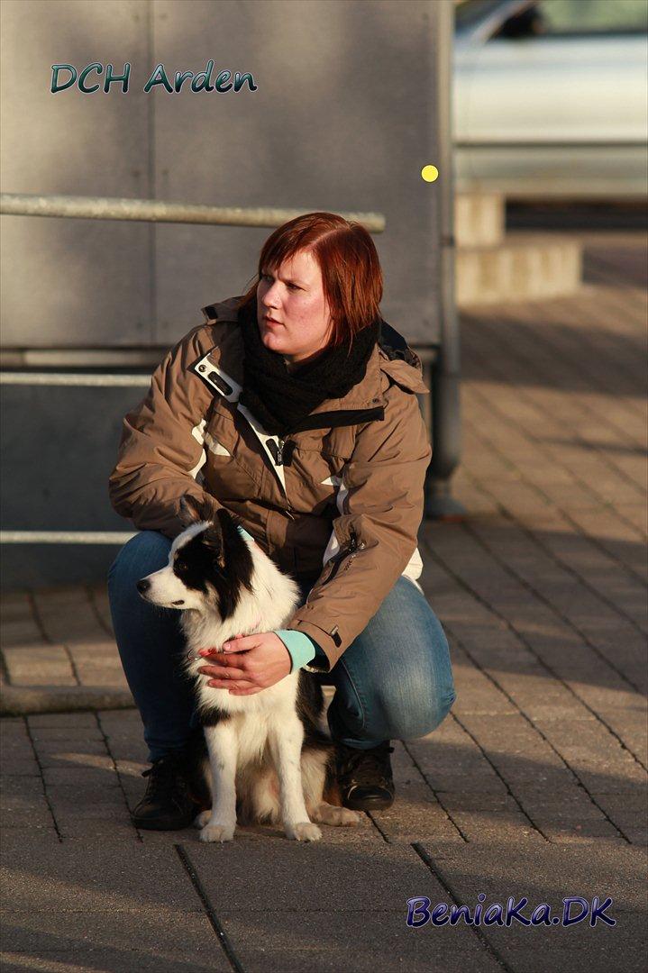 DCH Arden billede 11