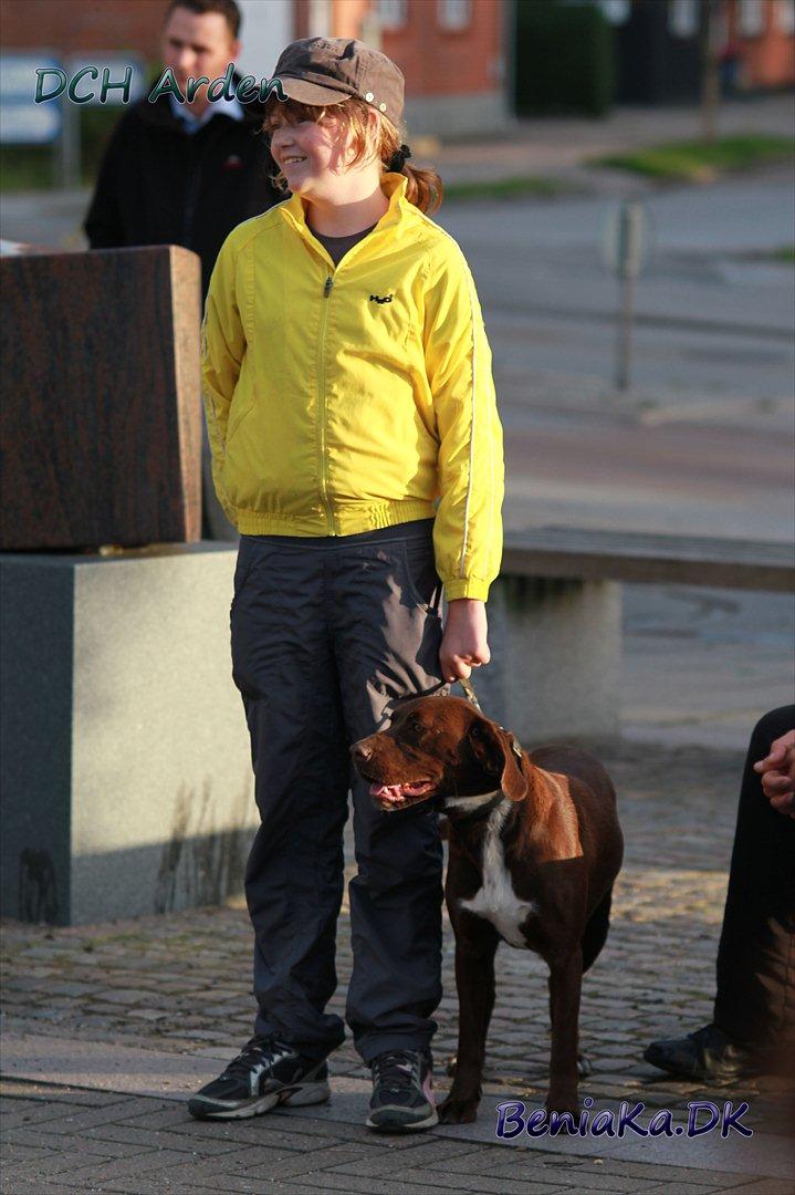 DCH Arden billede 13