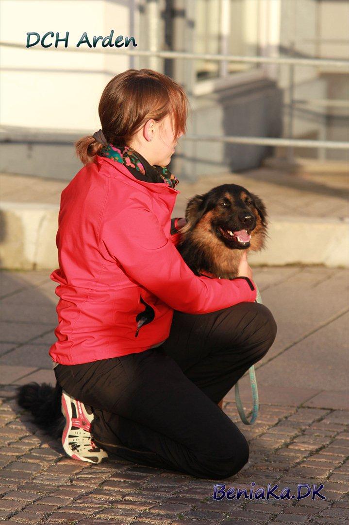 DCH Arden billede 14