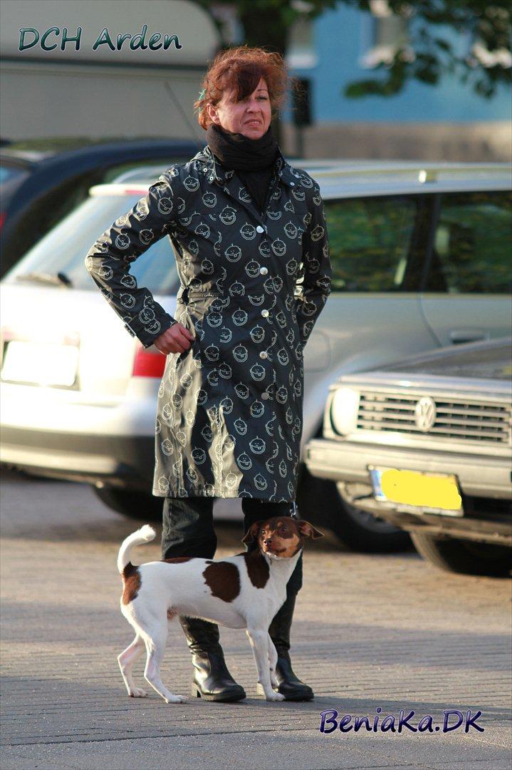 DCH Arden billede 16