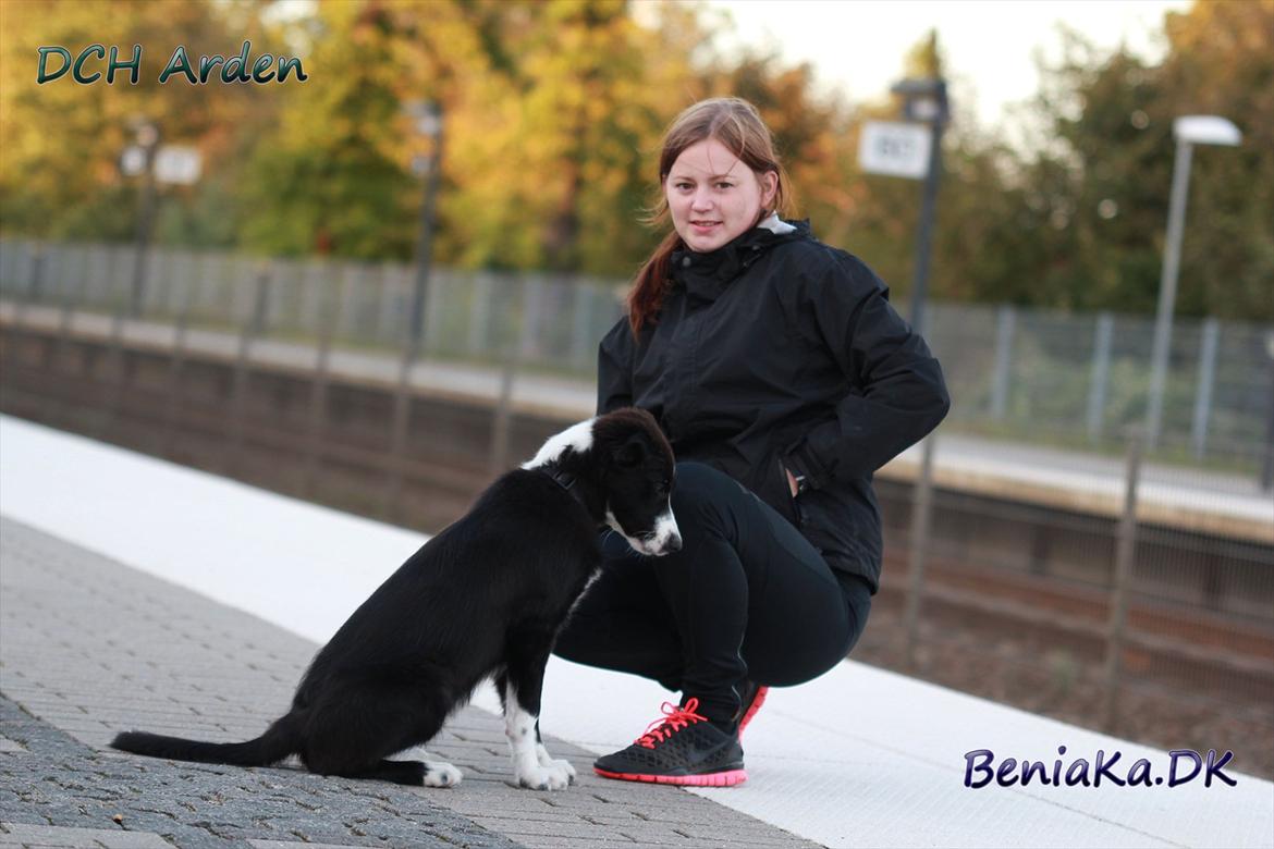 DCH Arden billede 19