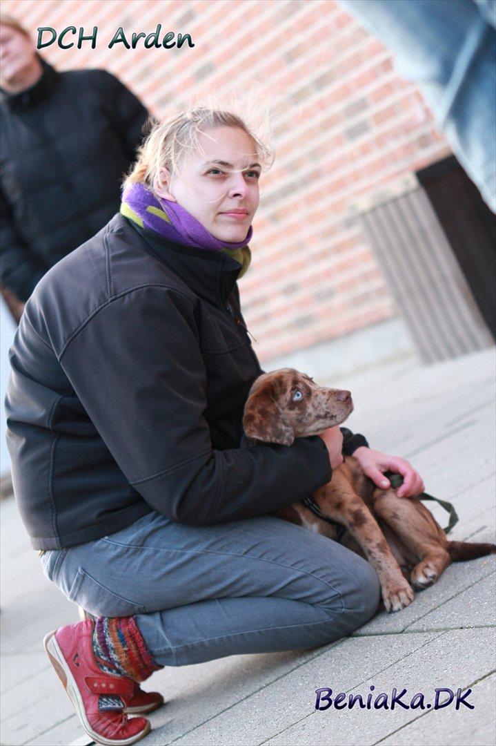 DCH Arden billede 22