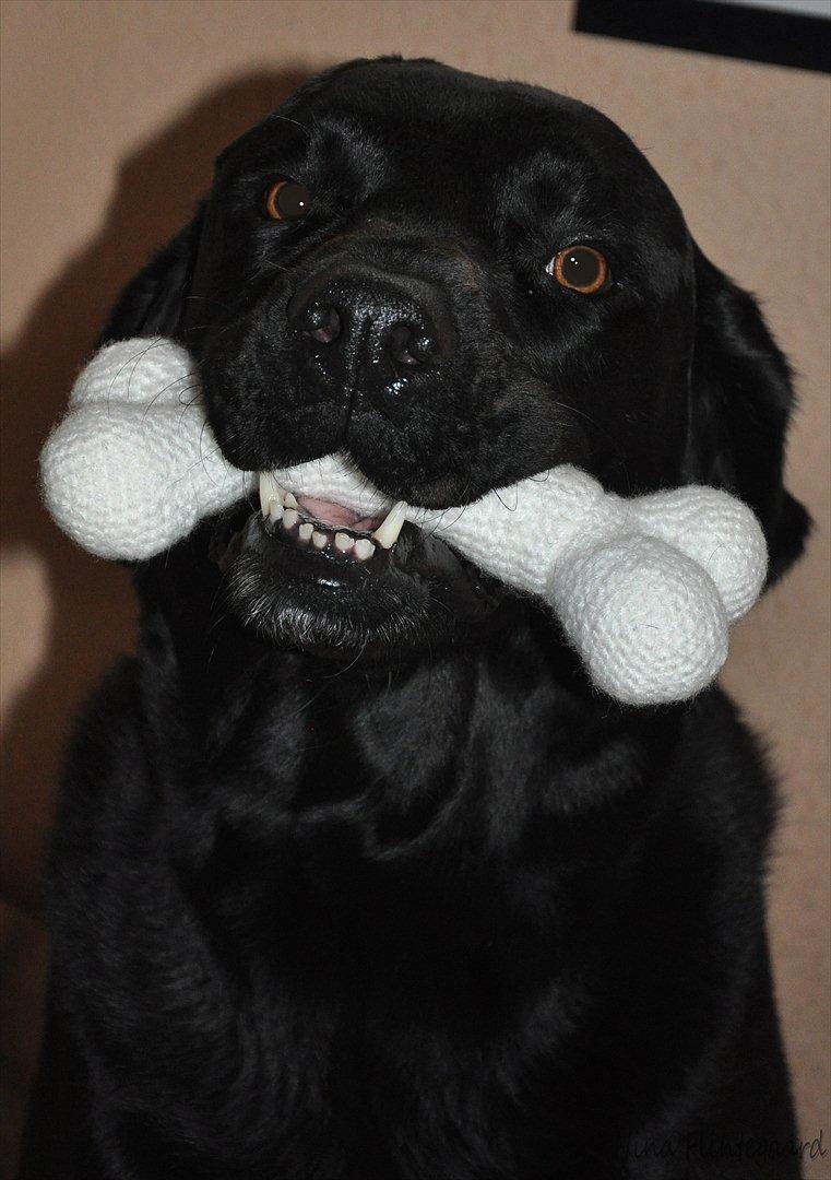 Hæklede sager - Jeg har fået et dejligt ben =D billede 73