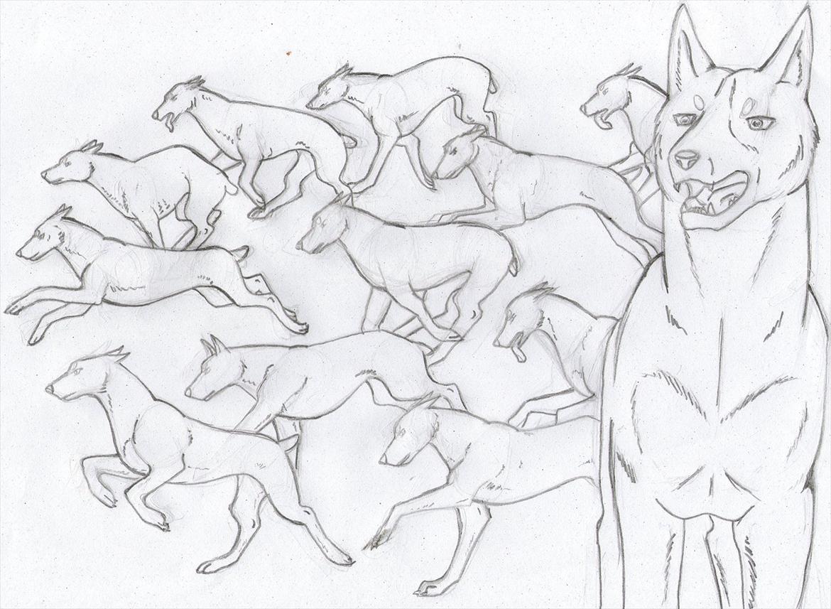 Silvertegneserien, billeder. - Her er så anden tegning. Denne er af dobermann'ene fra historien. billede 4