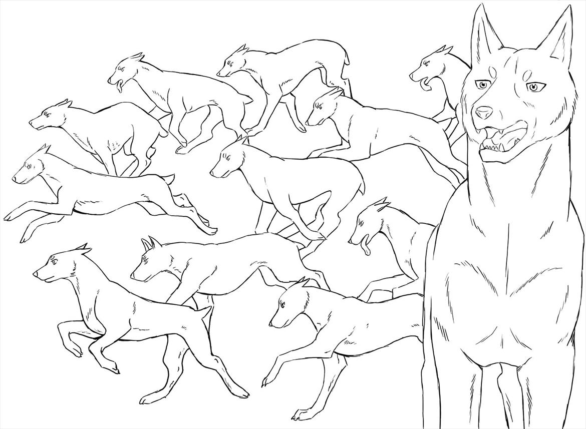 Silvertegneserien, billeder. - Og optegnet! billede 5