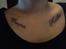 Tattoo af hundenes navne