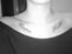 Tattoo af hundenes navne