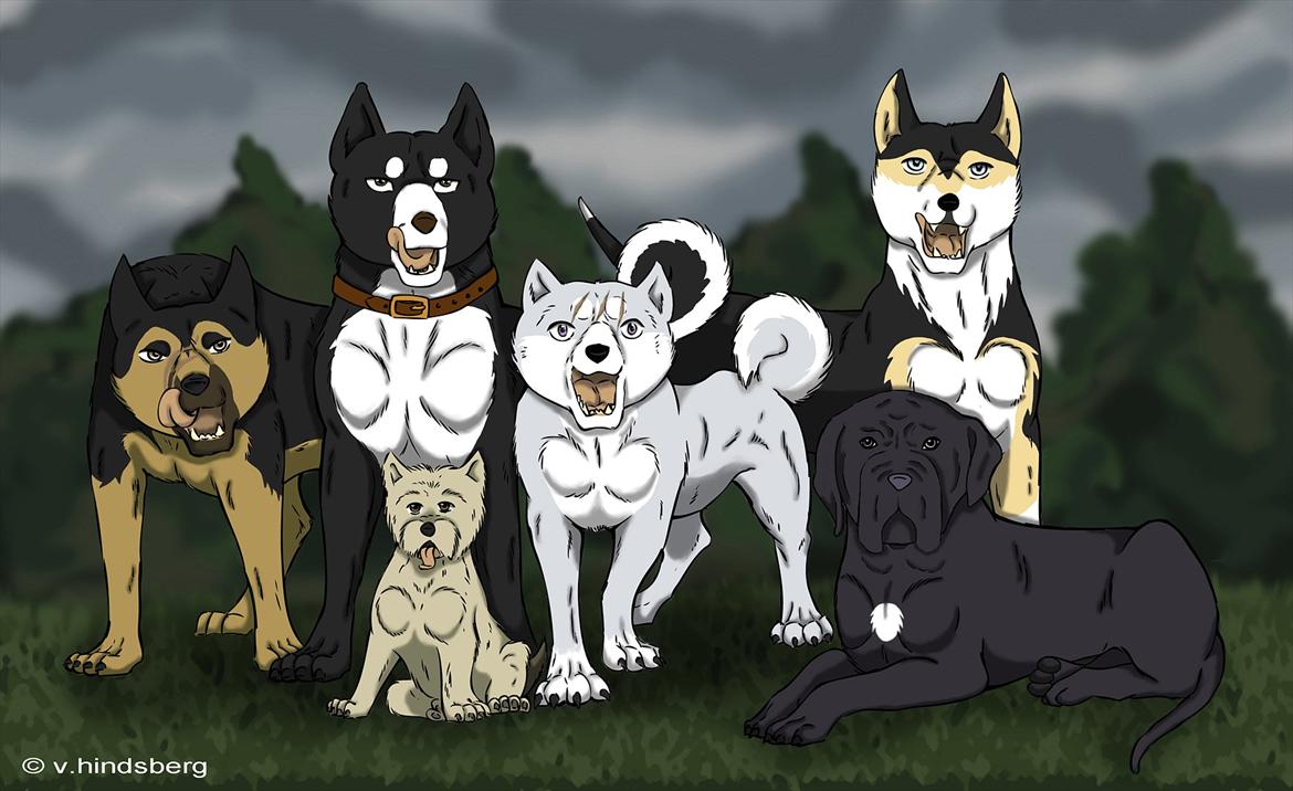 Silvertegneserien, billeder. billede 3