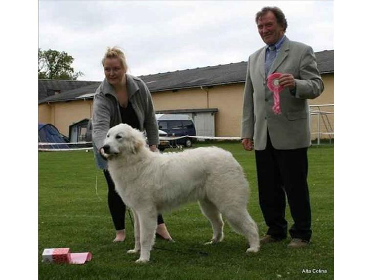 {{currentPhoto.altText}} billede {{currentPhoto.number}}