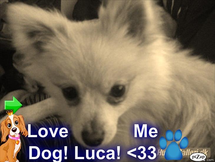 {{currentPhoto.altText}} billede {{currentPhoto.number}}