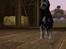 Sims 3 pets - mutant hunde o-O