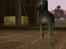 Sims 3 pets - mutant hunde o-O