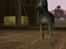 Sims 3 pets - mutant hunde o-O