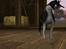 Sims 3 pets - mutant hunde o-O