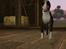 Sims 3 pets - mutant hunde o-O