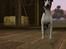Sims 3 pets - mutant hunde o-O