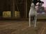 Sims 3 pets - mutant hunde o-O