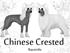 Chinese Crested - Race Info