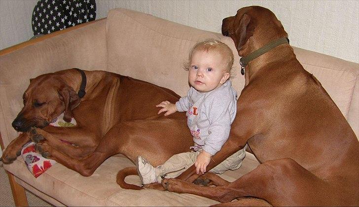 Bevar christiania!!! billede 2