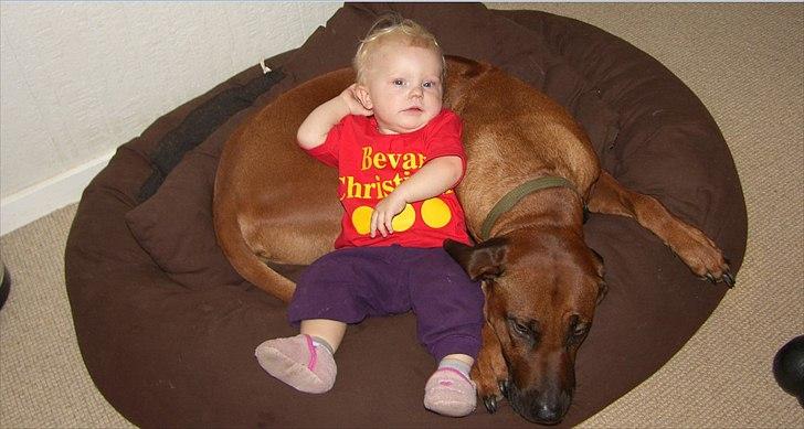 Bevar christiania!!! - "Kongen" vil bevare christiania, ser det ud til.. billede 1