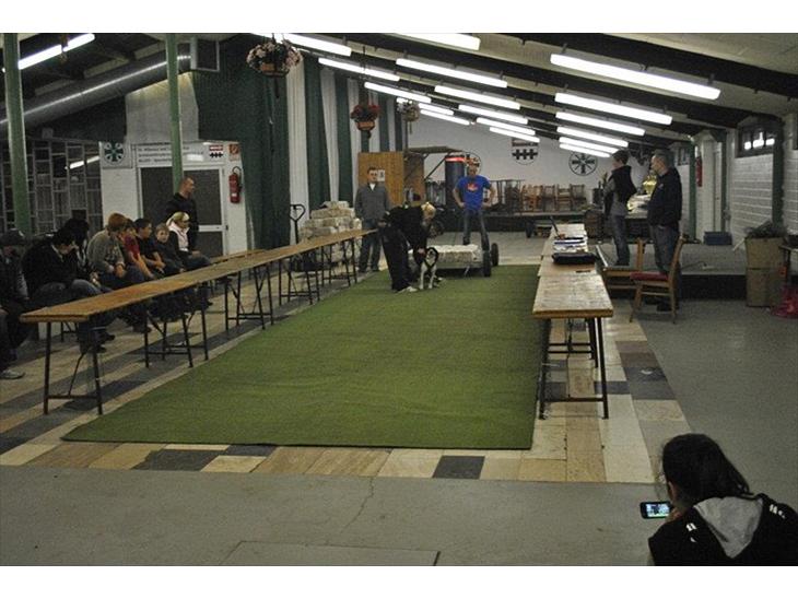 {{currentPhoto.altText}} billede {{currentPhoto.number}}