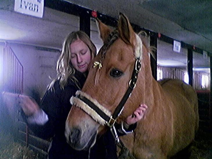 {{currentPhoto.altText}} billede {{currentPhoto.number}}