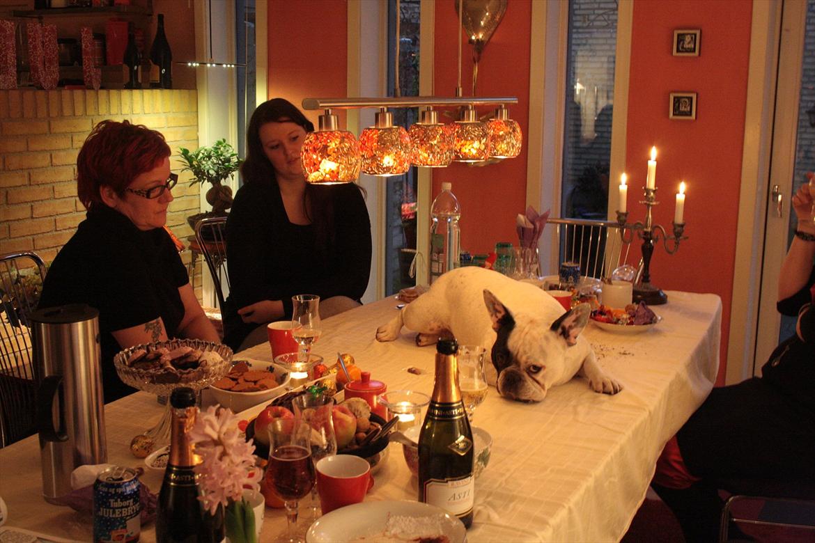 Diverse fjollerier - billede 44