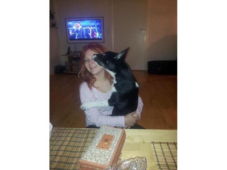 {{currentPhoto.altText}} billede {{currentPhoto.number}}