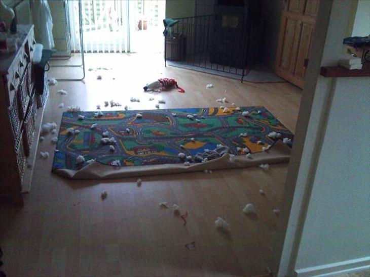 {{currentPhoto.altText}} billede {{currentPhoto.number}}