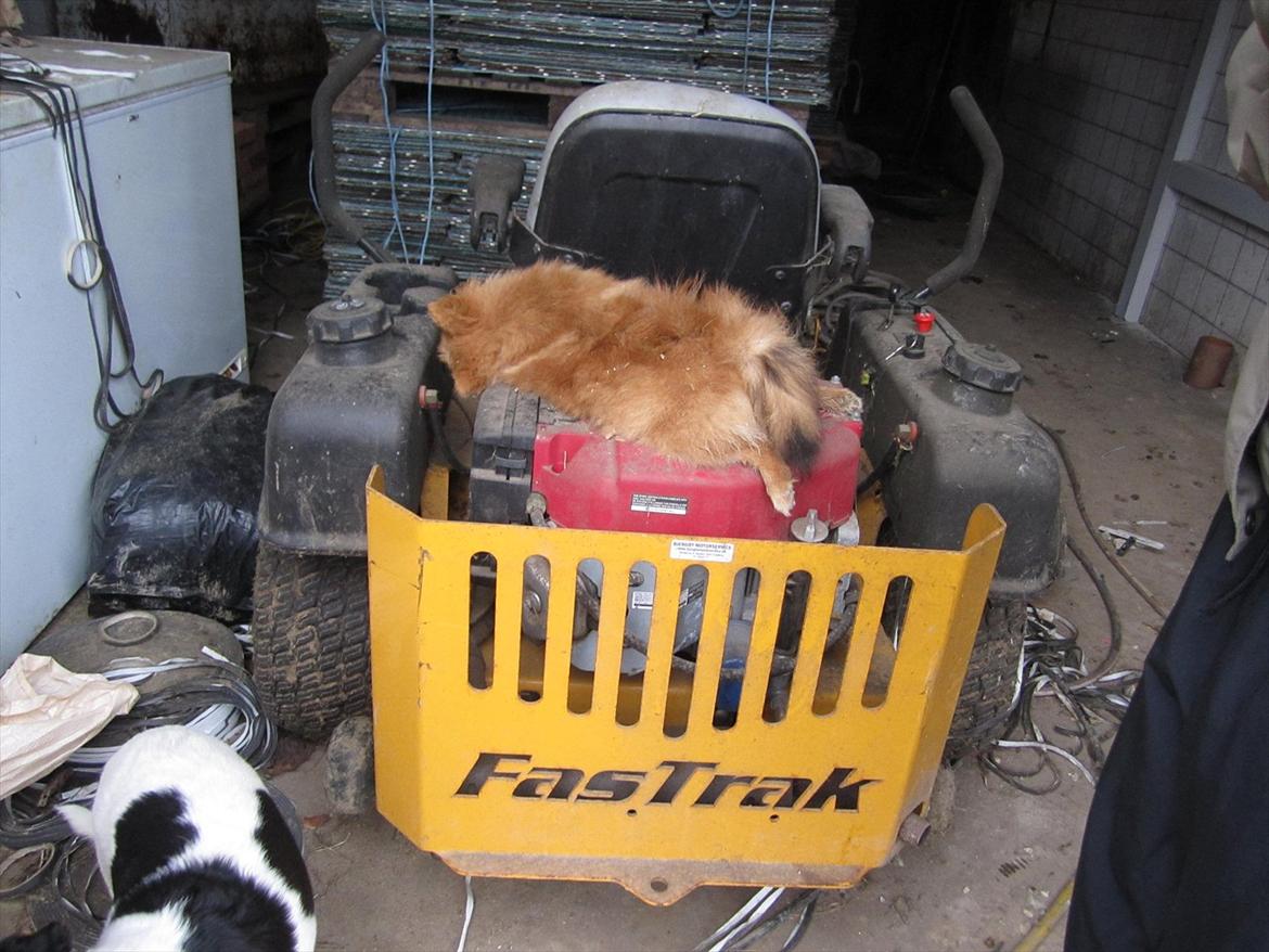 Sussi´s begravelse ;( billede 3