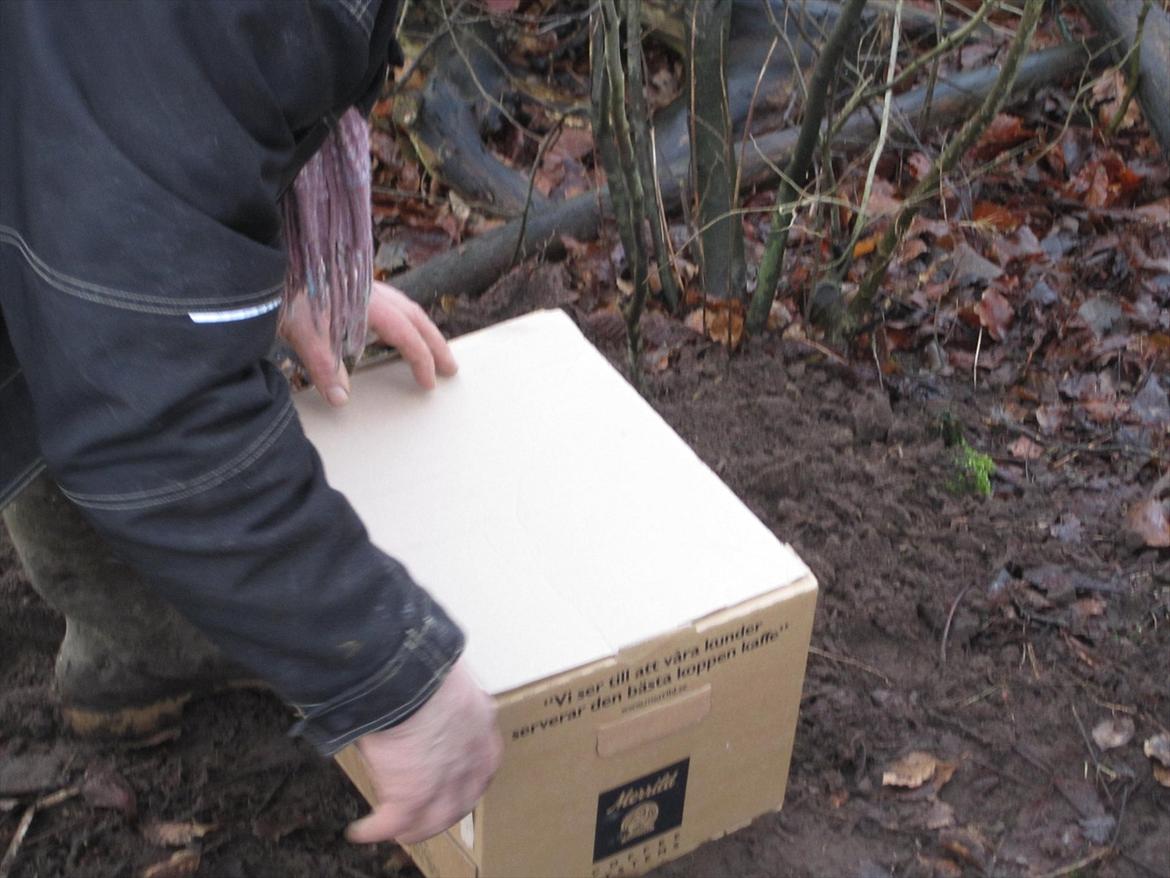 Sussi´s begravelse ;( billede 4