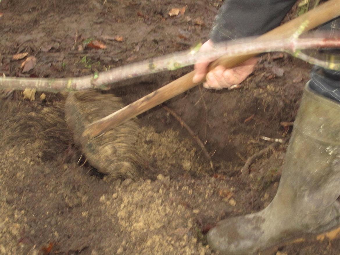 Sussi´s begravelse ;( billede 8