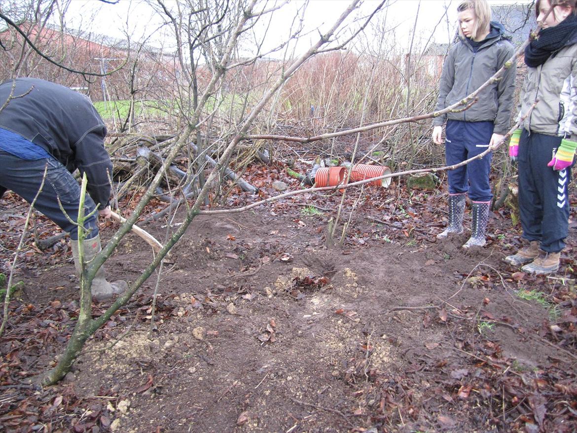 Sussi´s begravelse ;( billede 12