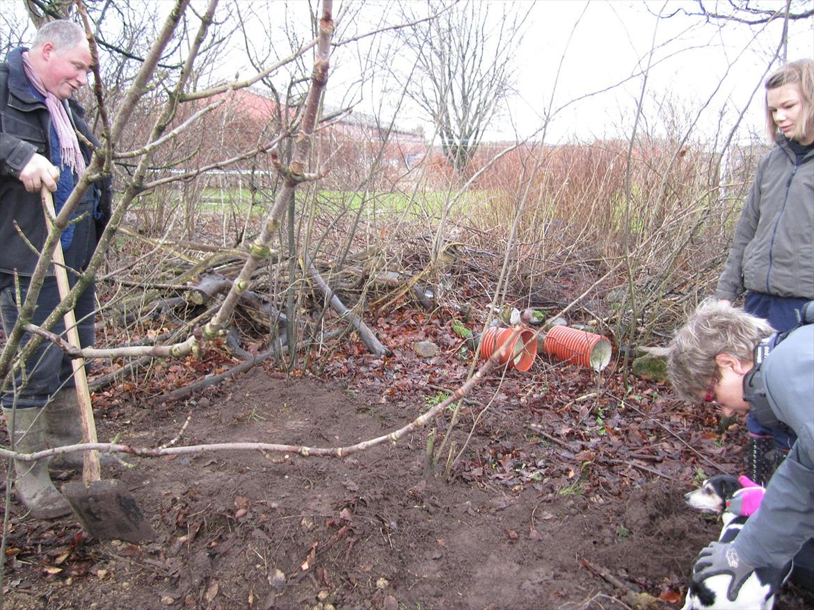 Sussi´s begravelse ;( billede 16