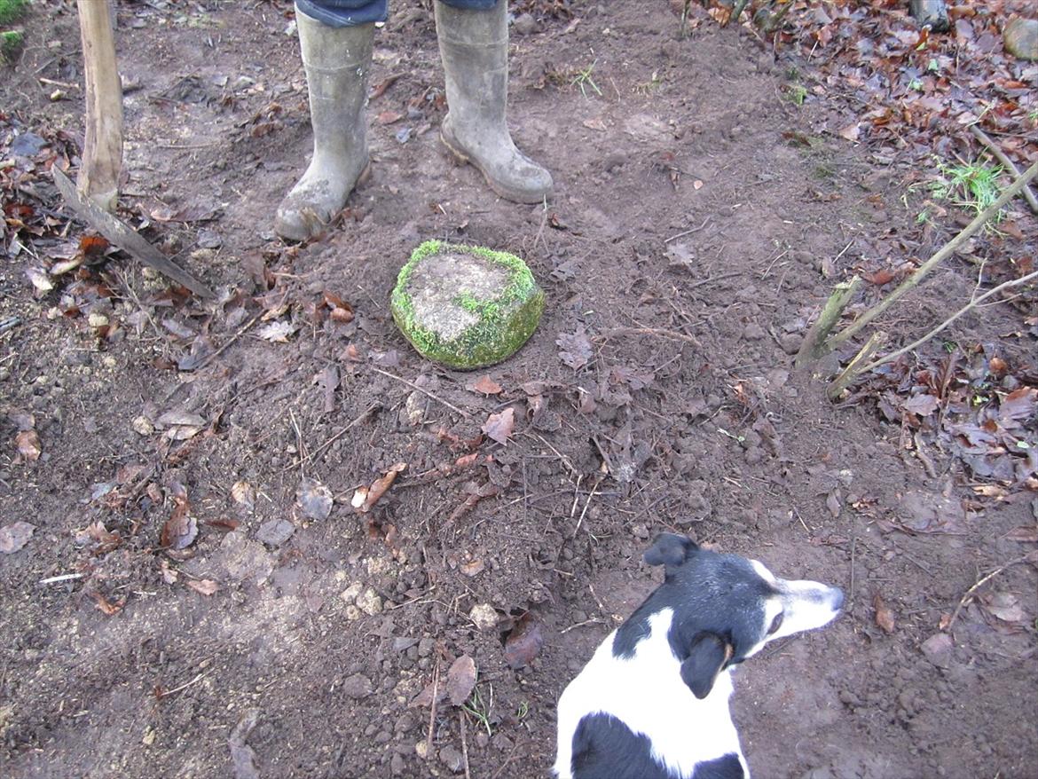 Sussi´s begravelse ;( billede 19