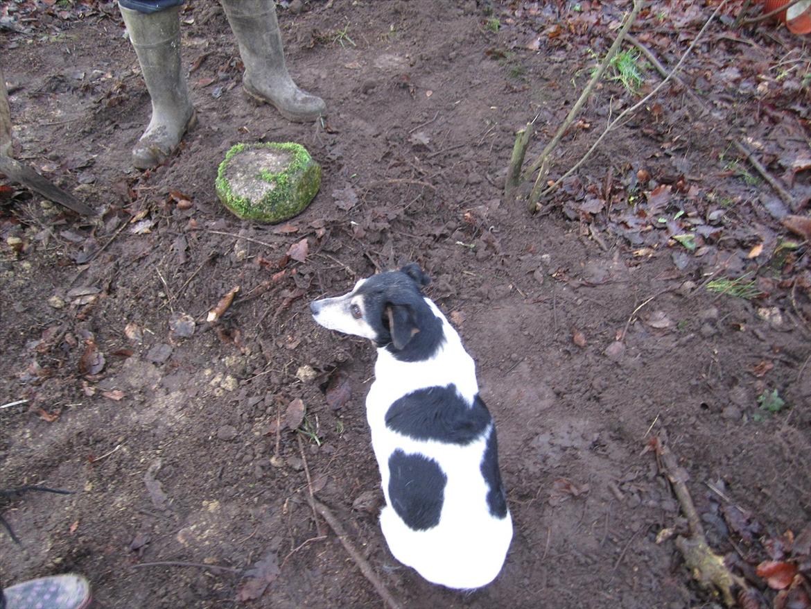 Sussi´s begravelse ;( billede 20